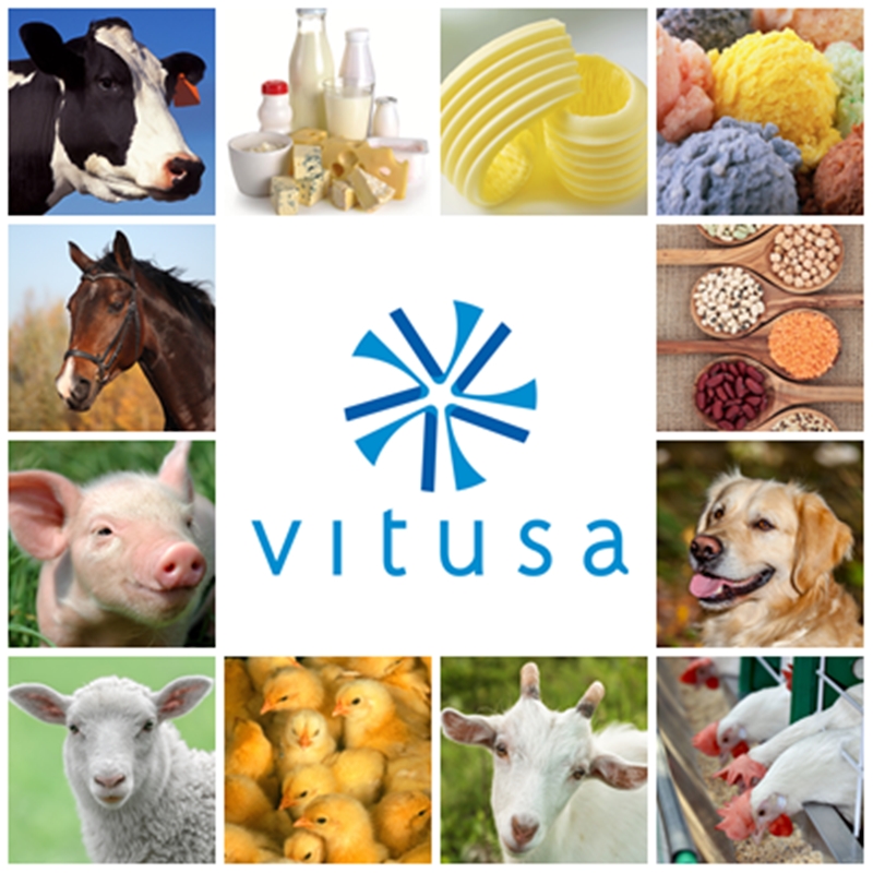 Vitusa